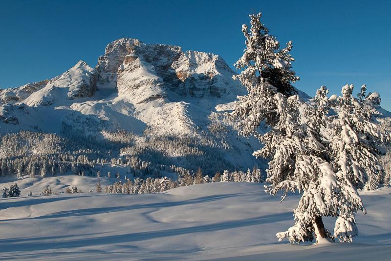 Alpin Natur Hotel Brueckele Braies  Extérieur photo